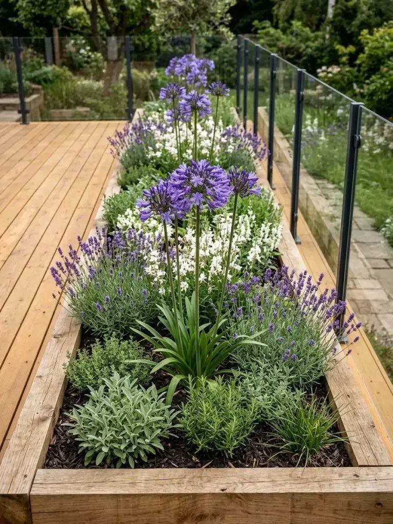 Long wooden raised garden bed filled with purple agapanthus, white flowers, and lavender plants.