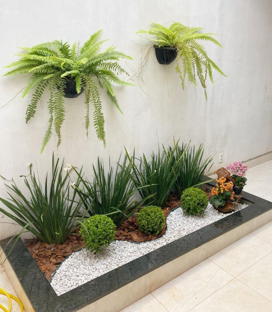 Small green shrubs and tall grass-like plants arranged in a narrow garden bed with white pebbles.