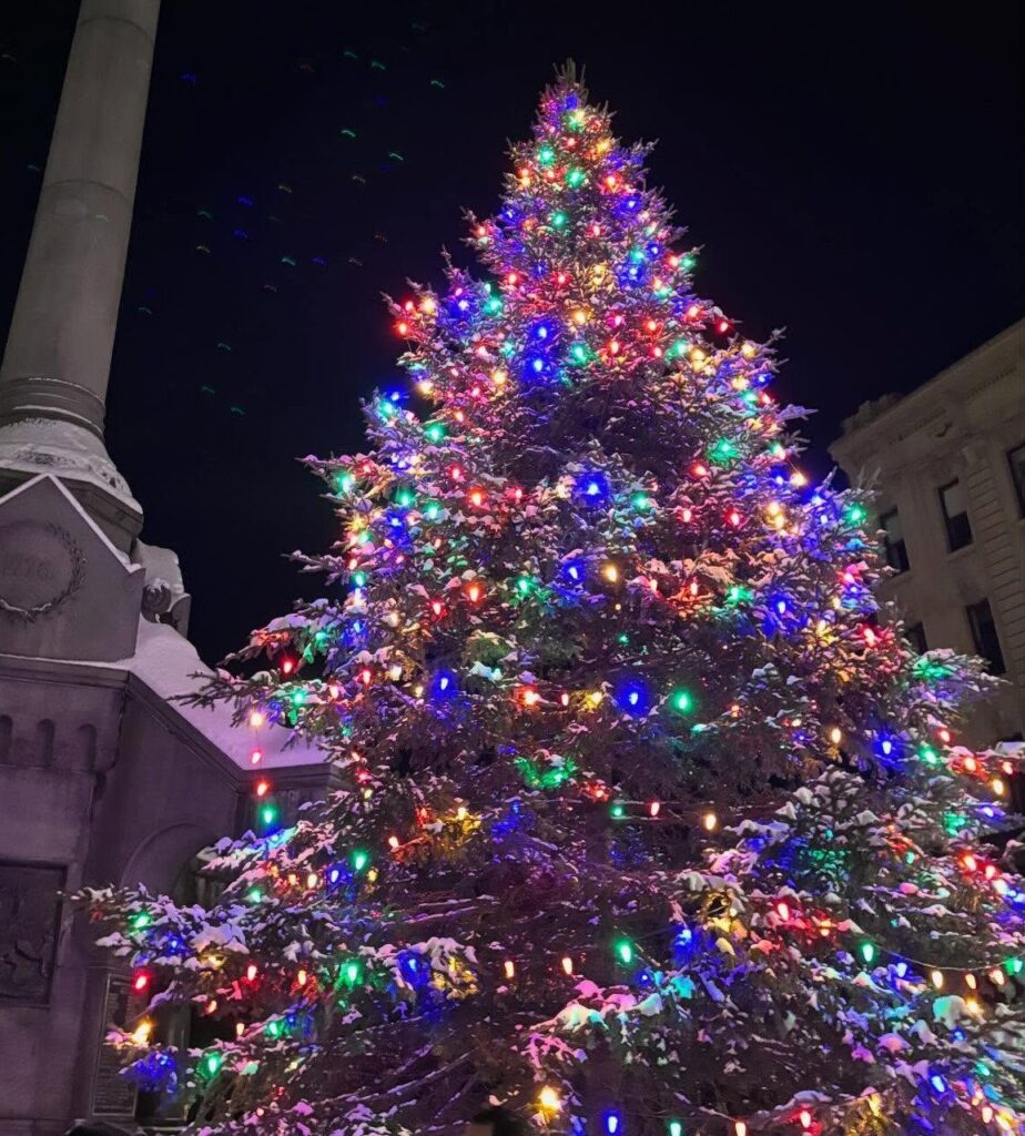 A large Christmas tree covered in colorful lights and snow against a dark night sky.