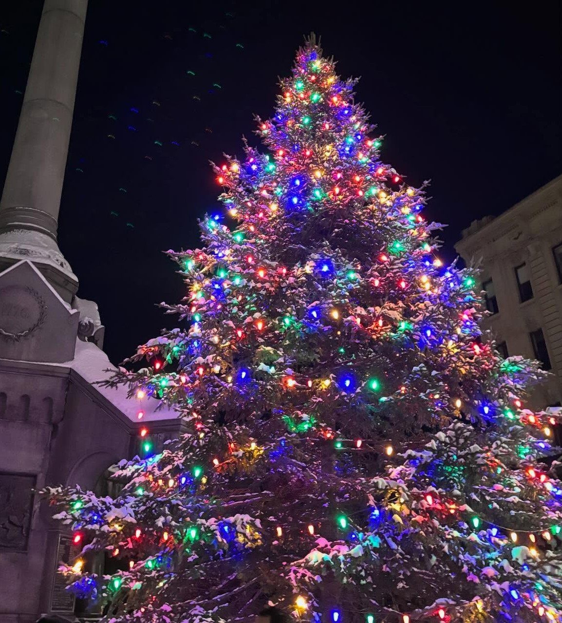 A large Christmas tree covered in colorful lights and snow against a dark night sky.